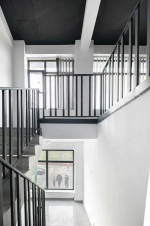 Spatiu comercial - zona Brotacei - imagine 4