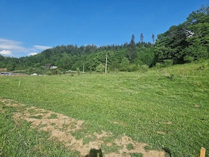 Teren intravilan Cristian   Brașov | Zona liniștită, pădure