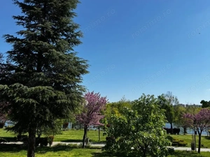 Apartament 3 camere zona Parc IOR- Str. Rotunda - imagine 23