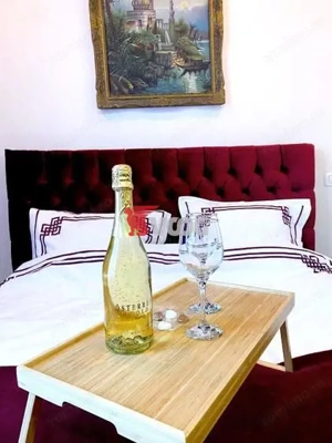 Apartament 3 camere| Zona ultracentrala|Centrul Istoric Timisoara - imagine 14