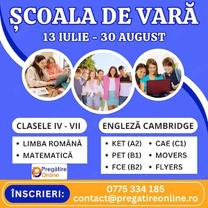 Meditatii scolare si Cambridge in vacanta - Scoala de Vara Pregatire Online