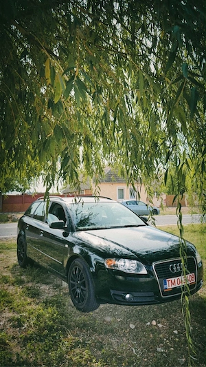 Vand Audi A4 S4 B7  - imagine 8