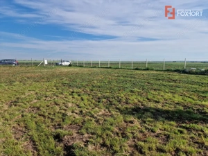 Teren extravilan de 3500 mp de vanzare in Remetea Mare - imagine 6
