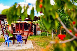 Casa Sanicolaul Mic cea mai buna zonă - liniștită fără vecini in fața - imagine 4