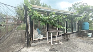Teren pretabil pentru constructie casa, situat in Deva, zona Vulcan - imagine 5