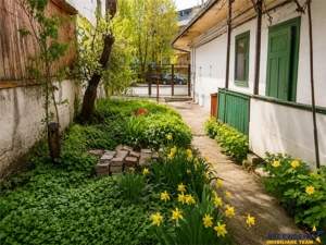Casa individuala, compusa din 2 apartamente,  zona Premium, Centrul Civic, Brasov - imagine 6