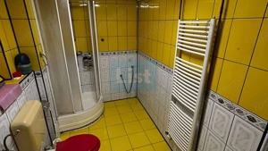 Casa in inima Aradului, ultracentral pe Malul Muresului - imagine 15