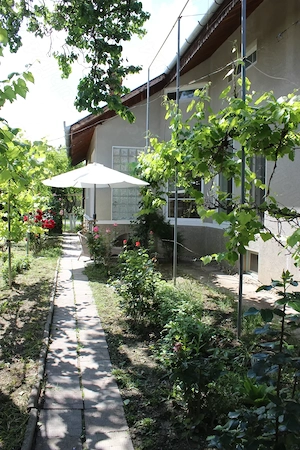 Casă spațioasă de vânzare in Nădlac - imagine 3