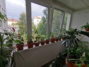 Apartament 3 camere etaj 1