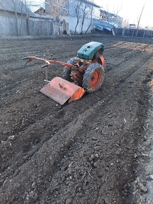 motocultor pasquali diesel  - imagine 3