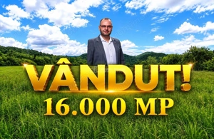 Borlovenii Noi, Teren Drept, 16000mp, la Limita Localitatii