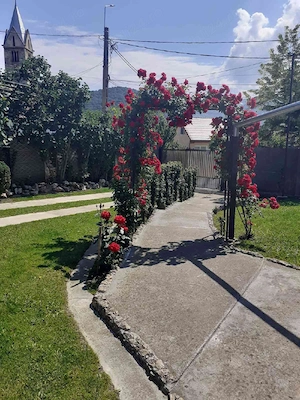 Casa de vanzare, Santamaria Orlea HD - imagine 3