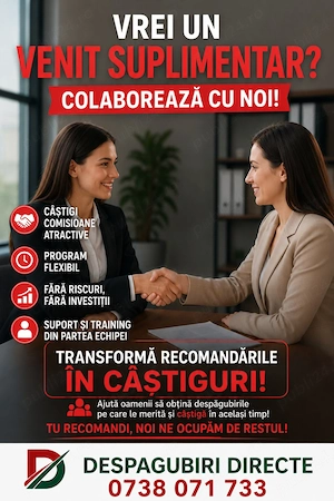 Venit suplimentar sub formă de colaborare.