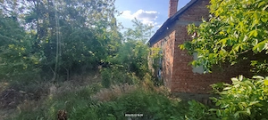 Casa+teren Vinga de vânzare  - imagine 4