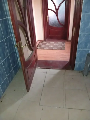 Vând casa + teren 5500mp Cacica, Jud. Suceava - imagine 2