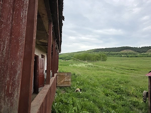 Vand casa Saulia (Groapa Radai), 5000m patrati - imagine 3