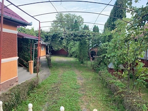 Casă spațioasă cu 35 ari teren   Solovăstru (ieșire spre Reghin Băile Sărate de la Jabenița) - imagine 2
