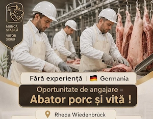 Germania  - Oportunitate de angajare- Abator porc și vită  ! Fără experiență ! 