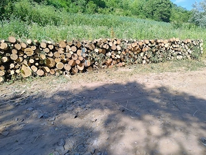 vand lemne de foc carpen diametru normala 
