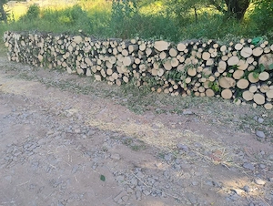 vand lemne de foc carpen 