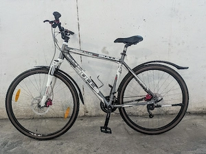 Bulls Cross Flyer 