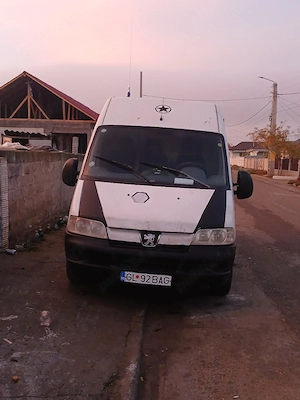 vand pejou boxer