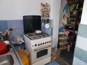 Casa, parter, Beregsau Mare, 5 camere, 189mp, teren 1600 2890mp - imagine 19