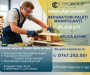 Reparator Paleti | 3500 lei NET + Transport | Ploiești
