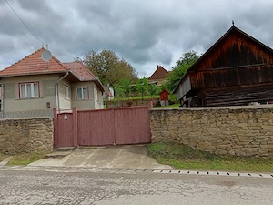 Casă familială cu curte și grădină