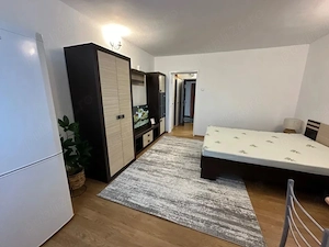Apartament cu 1 camera in Podul De Piatra