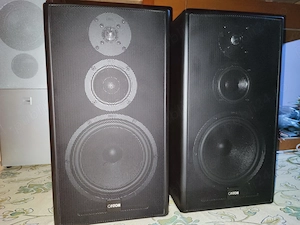 Super-Boxe Canton SL 700 NU Triangle B&W Bose JBL