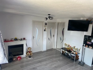 Vand Casa in Hintesti - imagine 3