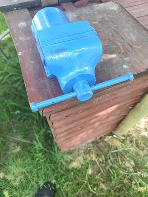 menghină Românească 100 mm 