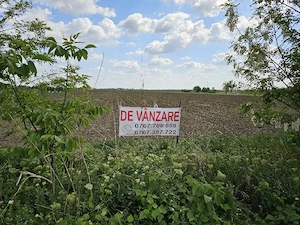 Teren intravilan de vânzare