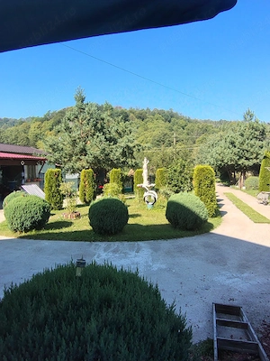 Vila in sat toplita com malureni arges - imagine 5