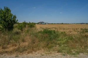 OTOPENI - CARPATILOR, TEREN 1371 MP! - imagine 6
