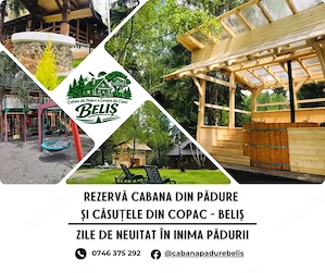 Oferta Weekend liber: 12-14 iunie 2026! Rezerva weekend Cabana din Padure & Casuta din Copac   Belis