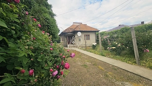 Casă de Vanzare  Târgu Jiu, Calea Severinului - imagine 2