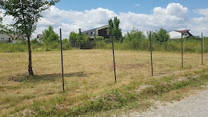 Teren intravilan Mogoșoaia   1365 mp   deschidere 39 m   utilități - imagine 4