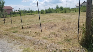 Teren intravilan Mogoșoaia   1365 mp   deschidere 39 m   utilități - imagine 3
