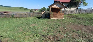 Teren de vanzare in Aghireșu sat - imagine 3