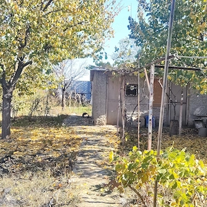 Casă Brăilița  67 mp utili, teren 350 mp, gaze, centrală, 65.000   NEG - imagine 6