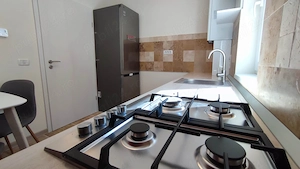 Ap 2 camere de inchiriat, complet mobilat si utilat, bloc nou tip vila, etaj 1, 52 mp + balcon - imagine 2