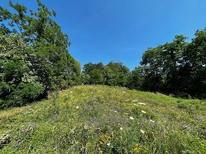 Exclusivitate   Teren Panoramic in SLĂNIC PRAHOVA