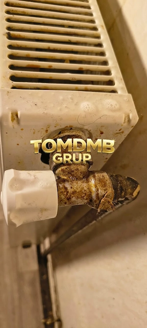 TOMDMB GRUP: vă oferă servicii de curățenie  - imagine 3