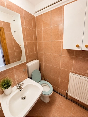 Apartament 2 camere de inchiriat - Caransebes Tarinei - imagine 3