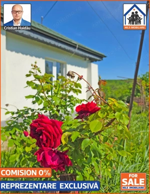 Casa renovata 141mp   Teren 10.000mp | Podenii Vechi - PH - imagine 16