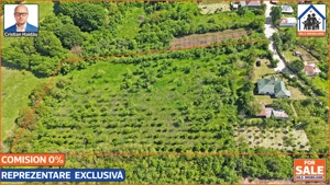 Casa renovata 141mp   Teren 10.000mp | Podenii Vechi - PH - imagine 11