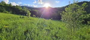 Teren de vânzare Vălisoara, Alba