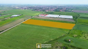 Teren intravilan de vânzare – 10.336 mp cu PUZ aprobat 16 loturi,Arad - imagine 4